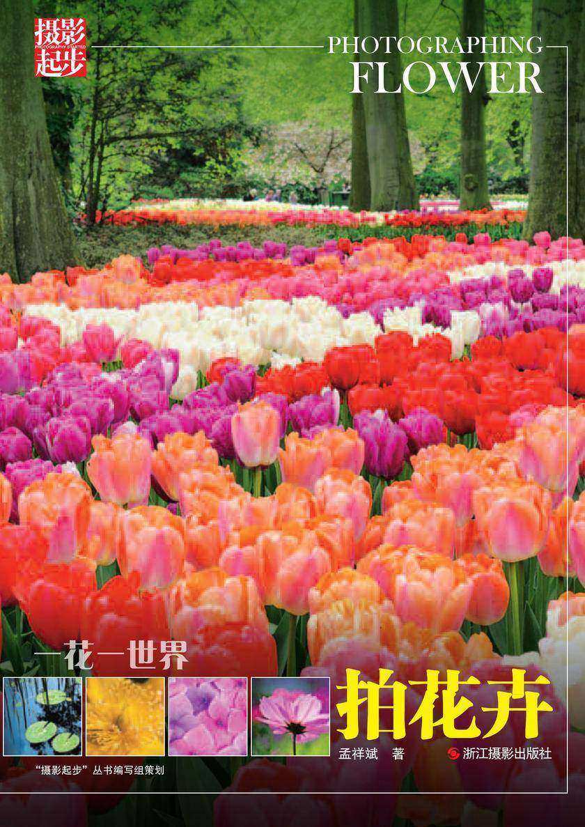 一花一世界:拍花卉