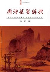 中华诗文鉴赏典丛—唐诗鉴赏辞典(平装)