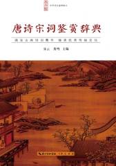 中华诗文鉴赏典丛—唐诗宋词鉴赏辞典(平装)