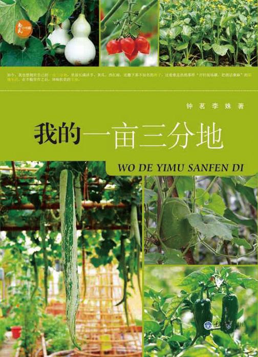 我的一亩三分地