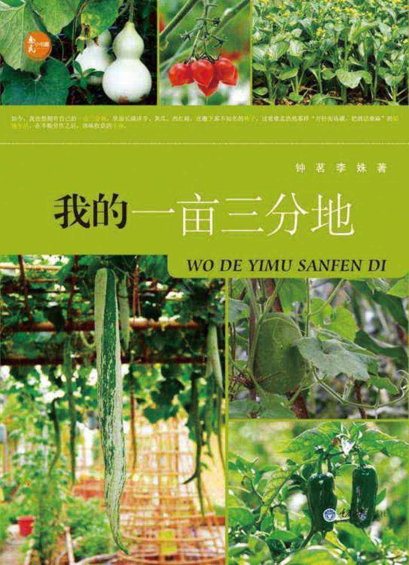 我的一亩三分地