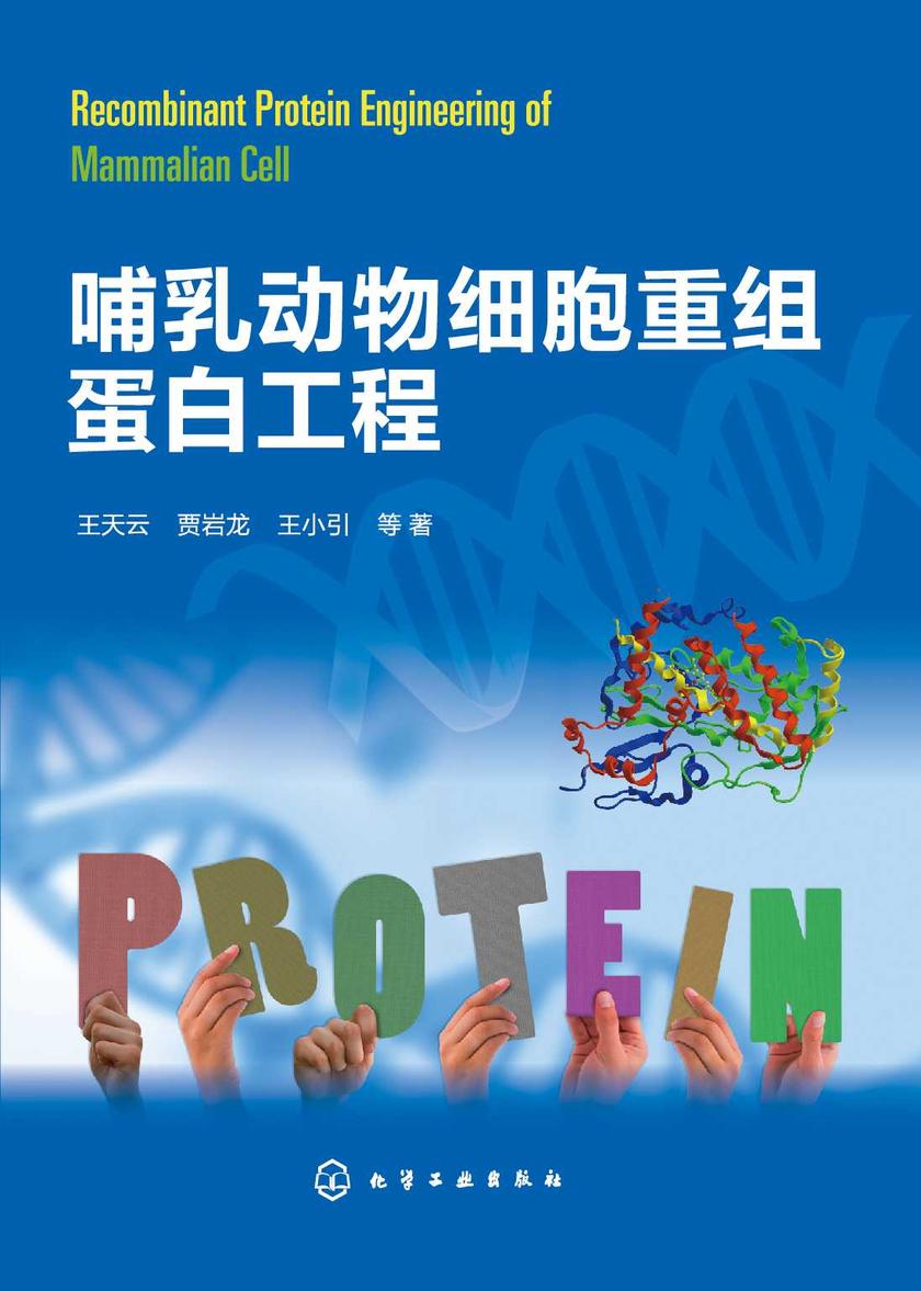 哺乳动物细胞重组蛋白工程
