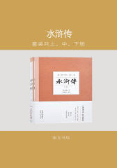 四大名著名家汇评本—水浒传(上、中、下)