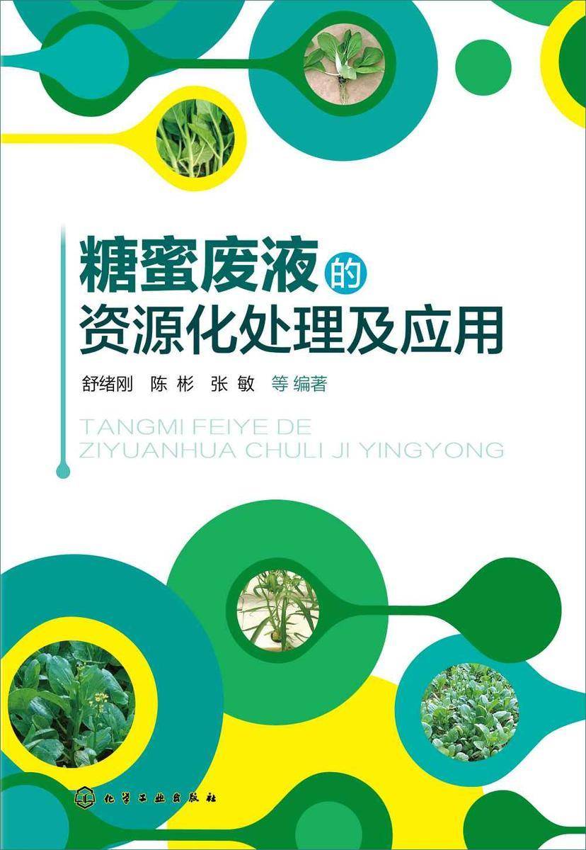 糖蜜废液的资源化处理及应用