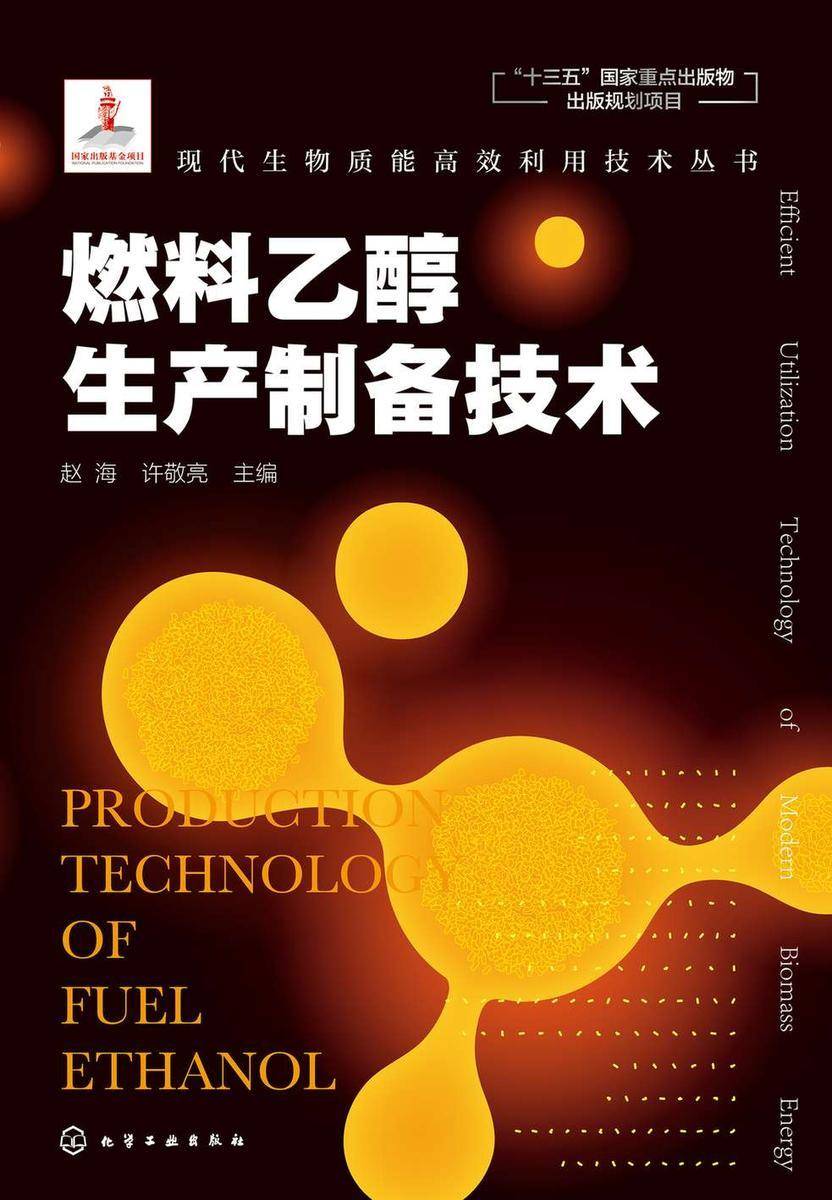 现代生物质能*利用技术丛书--燃料乙醇生产制备技术