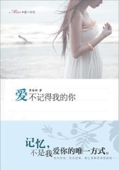爱不记得我的你(试读本)