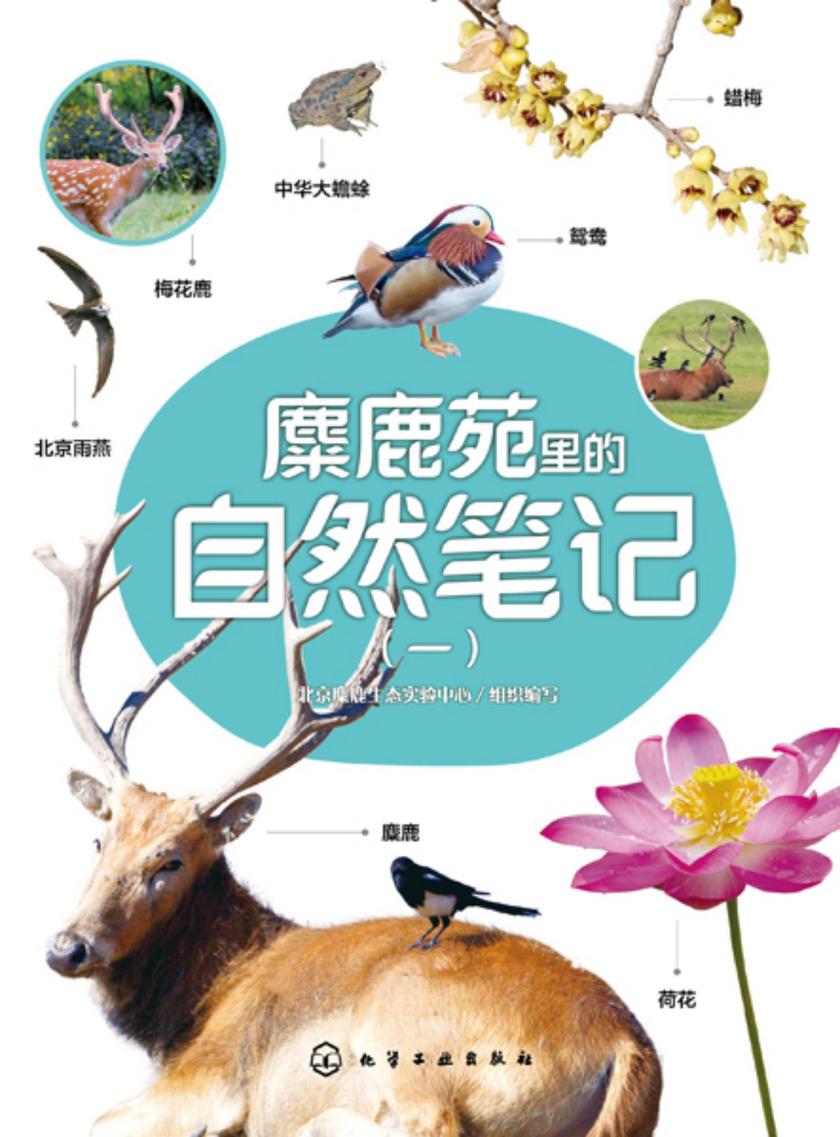 麋鹿苑里的自然笔记(一)