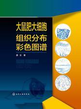 大鼠肥大细胞组织分布彩色图谱