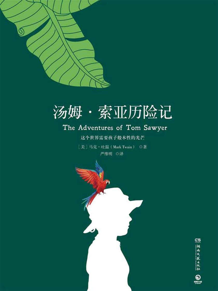 汤姆·索亚历险记