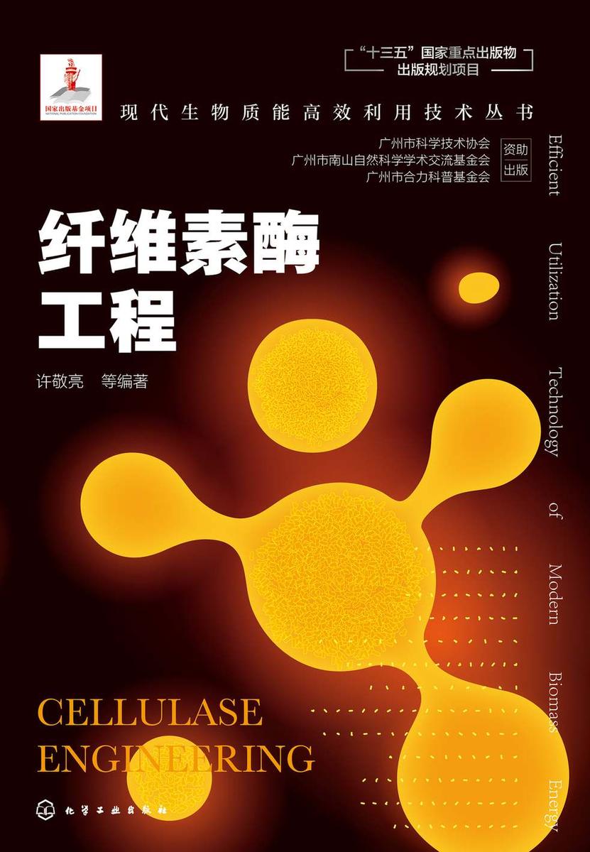 现代生物质能*利用技术丛书--纤维素酶工程