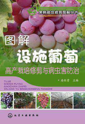 图解设施葡萄高产栽培修剪与病虫害防治