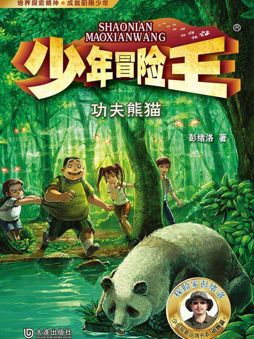 少年冒险王·功夫熊猫