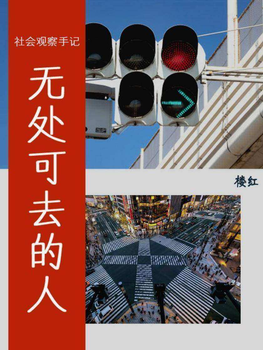 无处可去的人:社会观察手记