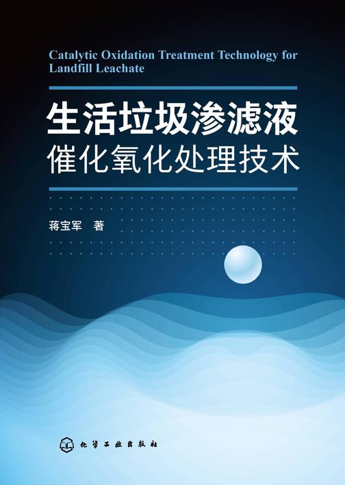 生活垃圾渗滤液催化氧化处理技术