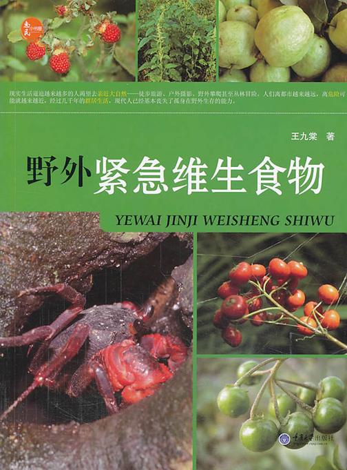 野外紧急维生食物