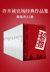 许开祯官场经典作品集(套装共11册)