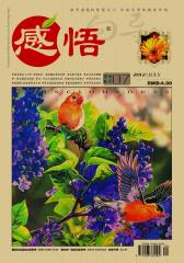 感悟 月刊 2012年07期(电子杂志)(仅适用PC阅读)