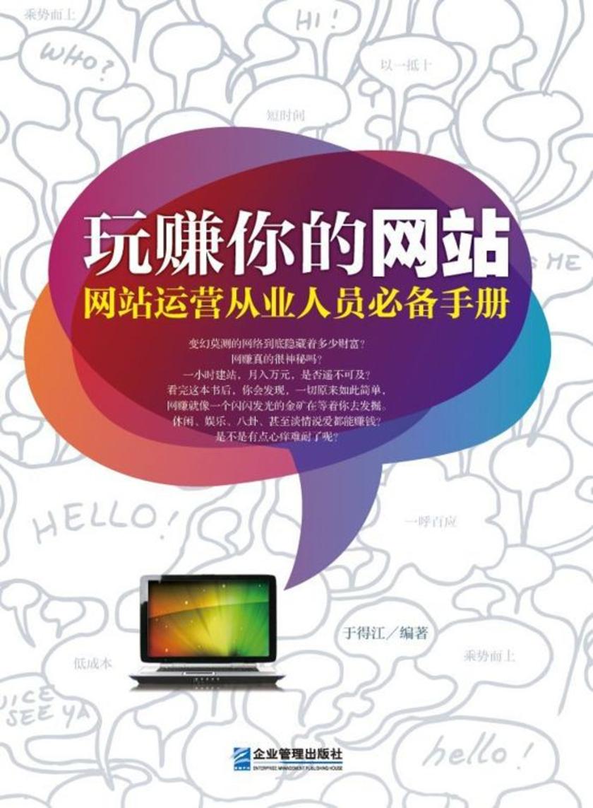 玩赚你的网站:网站运营从业人员手册