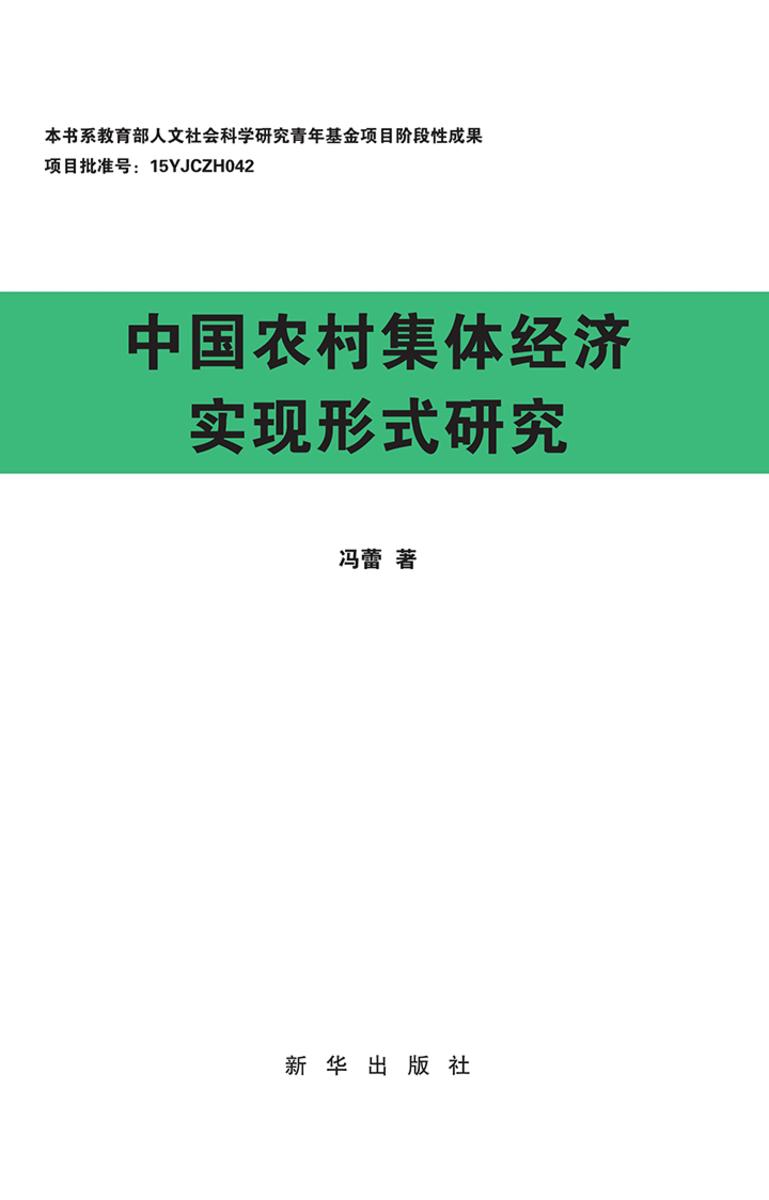 中国农村集体经济实现形式研究