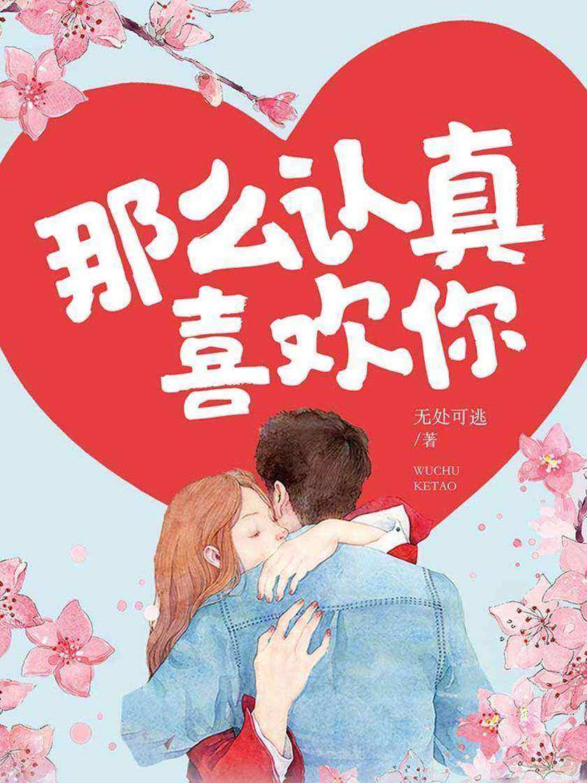 那么认真喜欢你