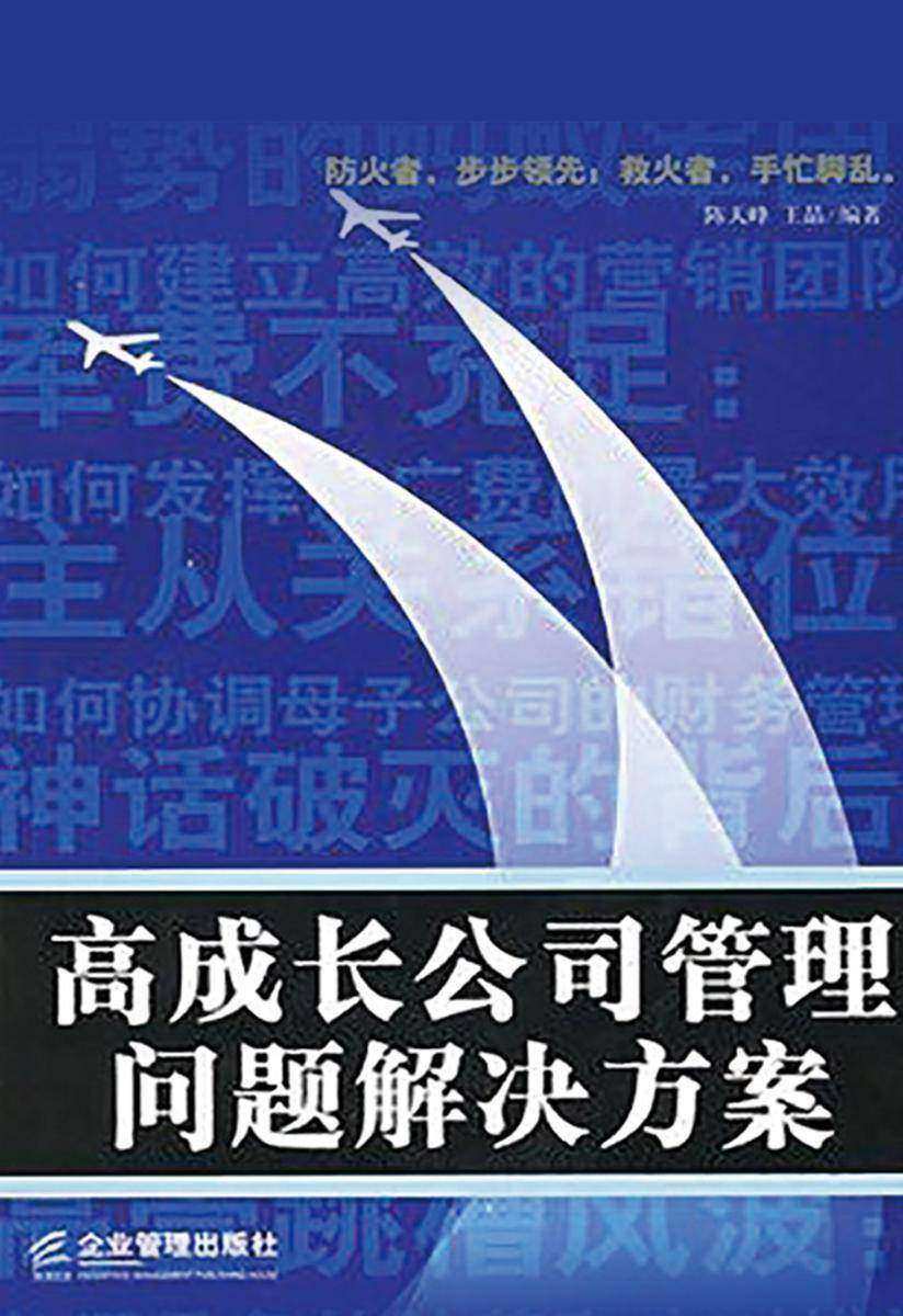 高成长公司管理问题解决方案