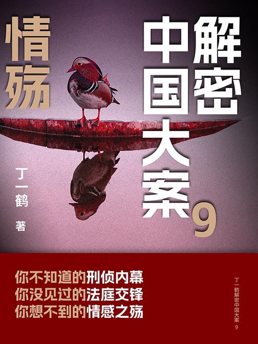 解密中国大案9:情殇