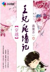 穿越之王妃爬墙记--第3部