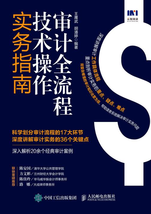 审计全流程技术操作实务指南