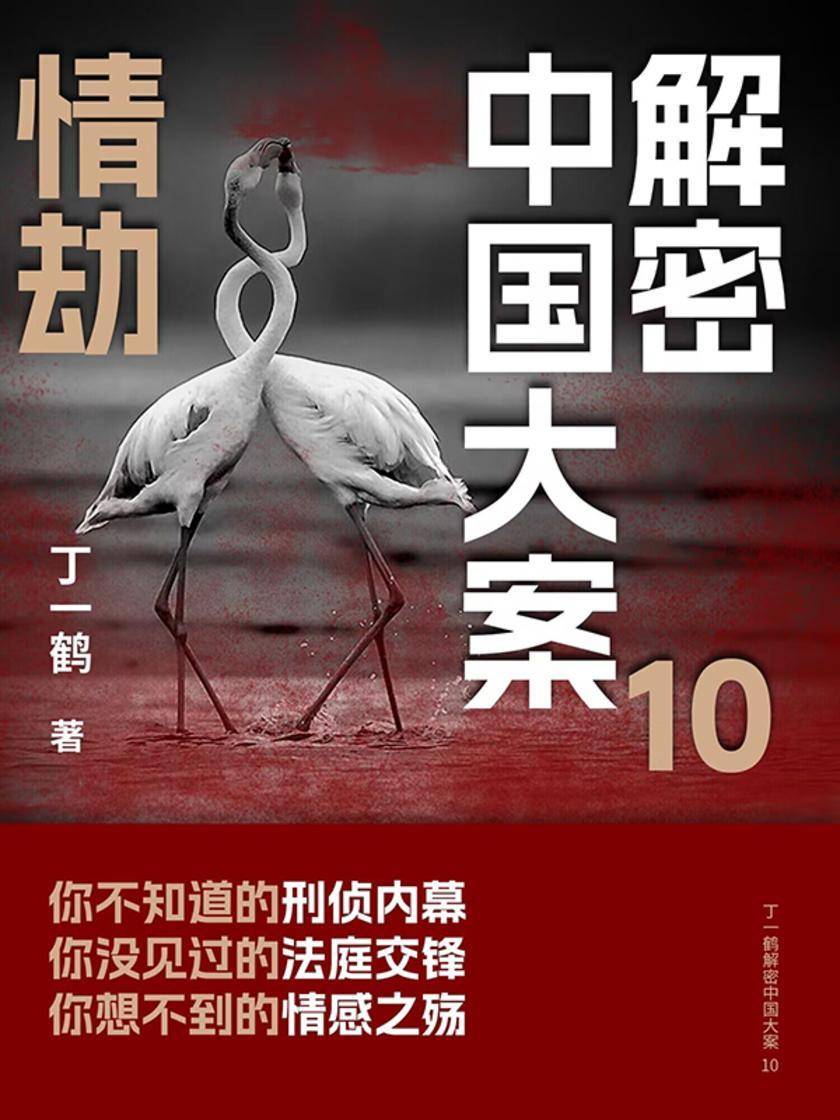 解密中国大案10:情劫