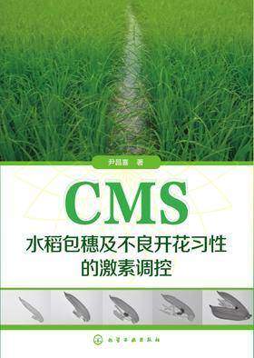 CMS水稻包穗及不良开花习性的激素调控