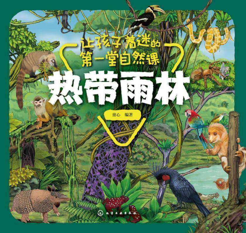 让孩子着迷的*堂自然课——热带雨林