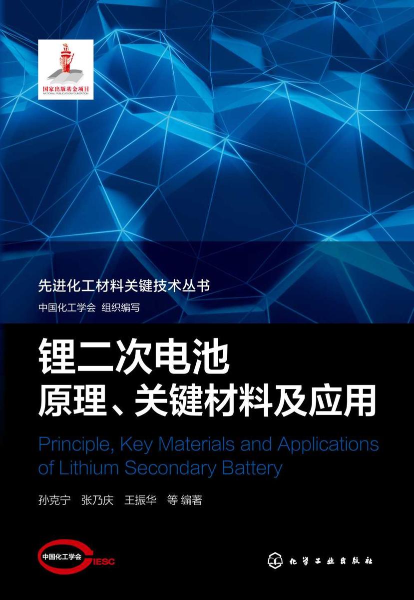 先进化工材料关键技术丛书--锂二次电池原理、关键材料及应用