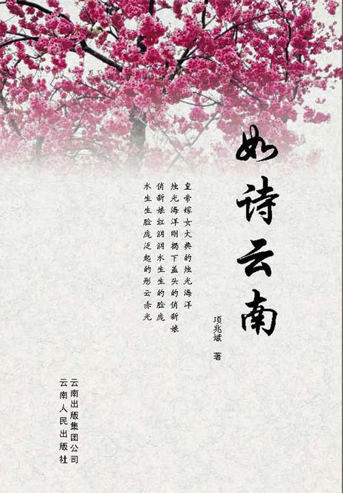 如诗云南