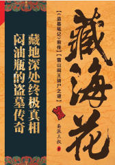 藏海花（试读本）