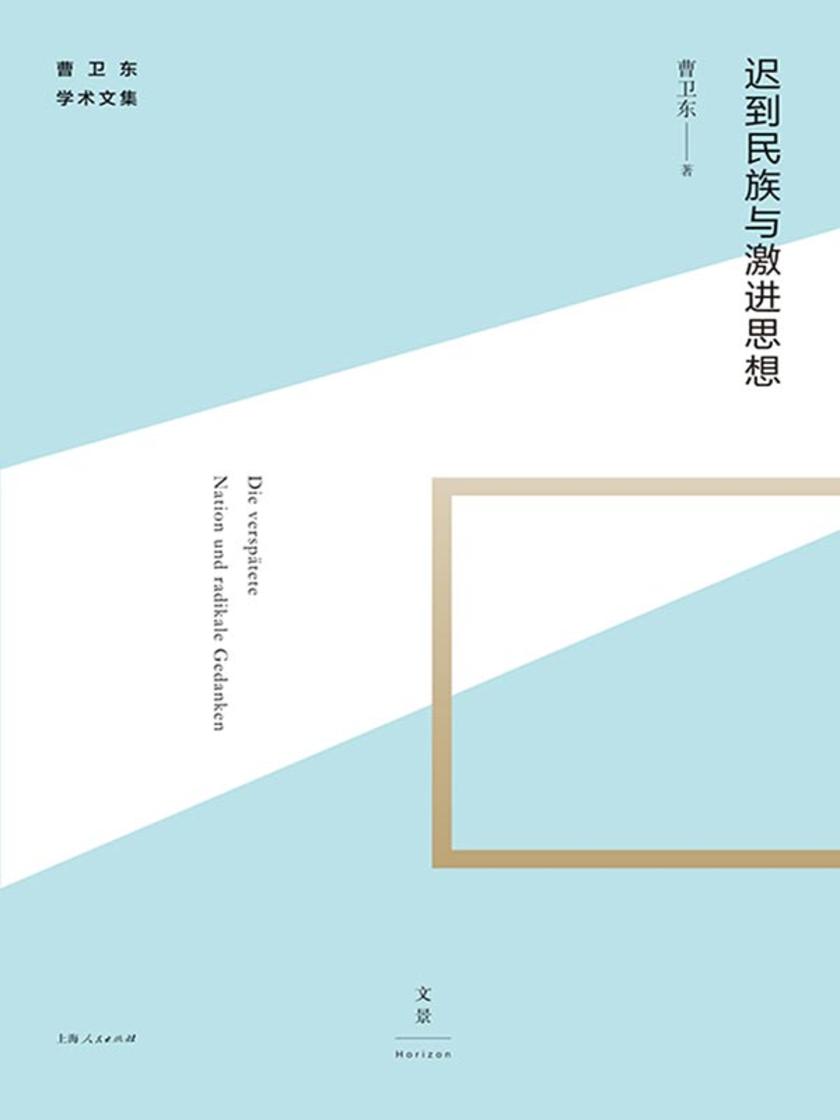 迟到民族与激进思想(曹卫东学术文集)