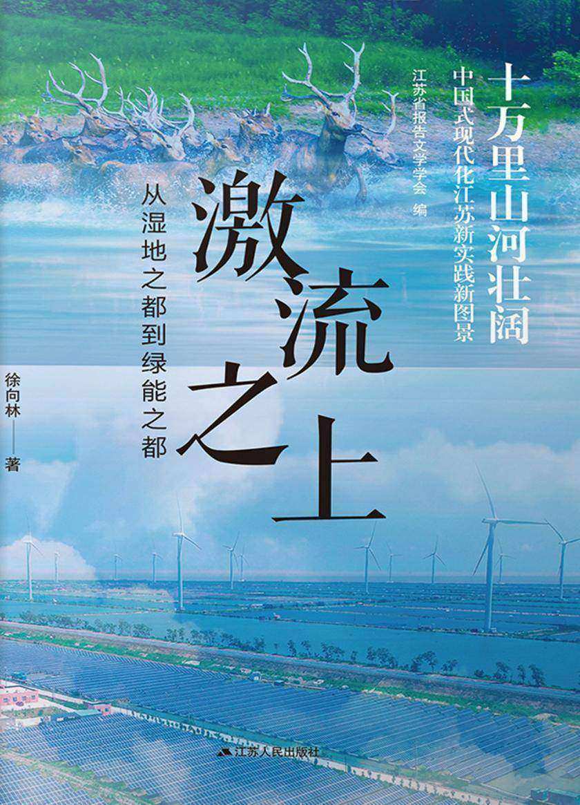 激流之上——从湿地之都到绿能之都