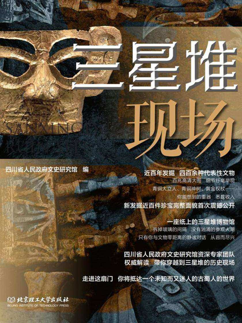三星堆现场