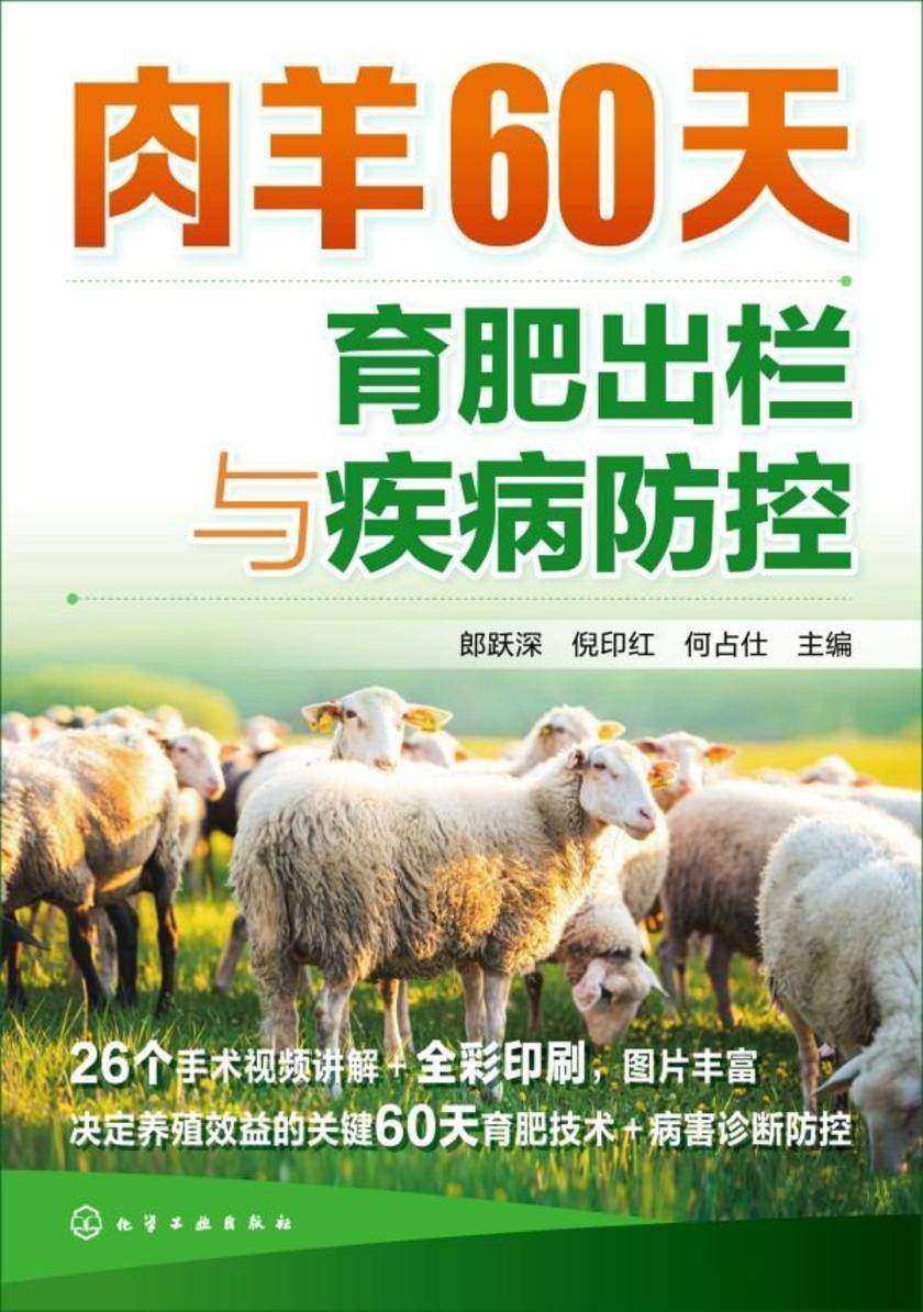 肉羊60天育肥出栏与疾病防控