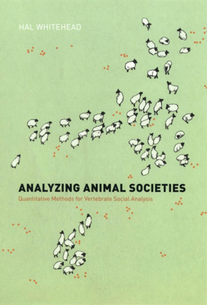 Analyzing Animal Societies