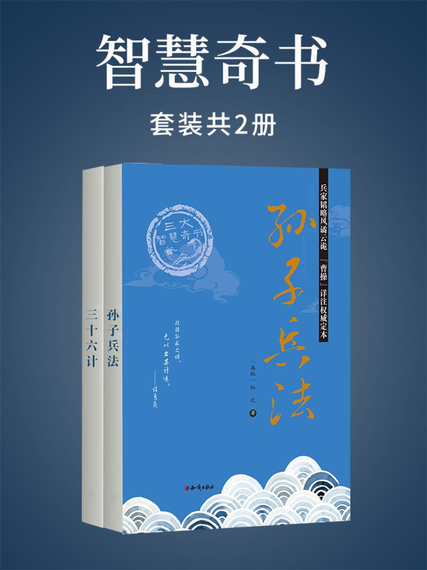 智慧奇书(2本)