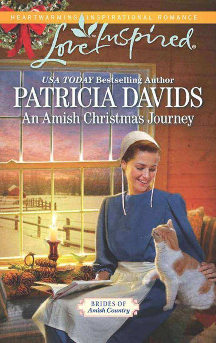 An Amish Christmas Journey (Mills & Boon Love Inspired) (Brides of Amish Country