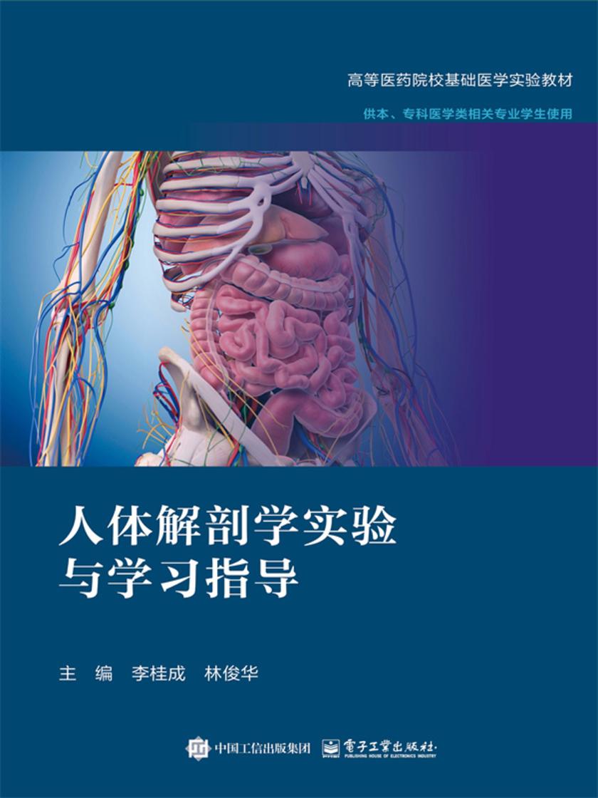 人体解剖学实验与学习指导