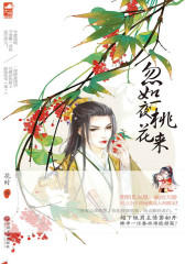 忽如一夜桃花来