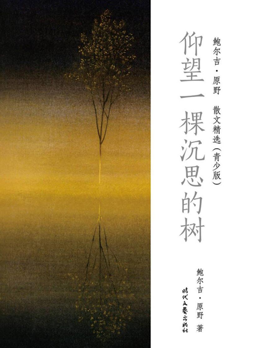 鲍尔吉·原野散文精选(青少版):仰望一棵沉思的树