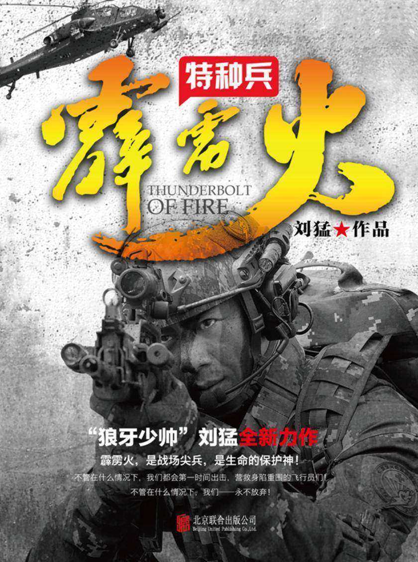 特种兵之霹雳火