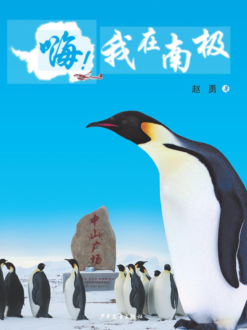 嗨!我在南极