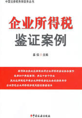 企业所得税鉴证案例
