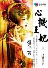 心机王妃--第1部