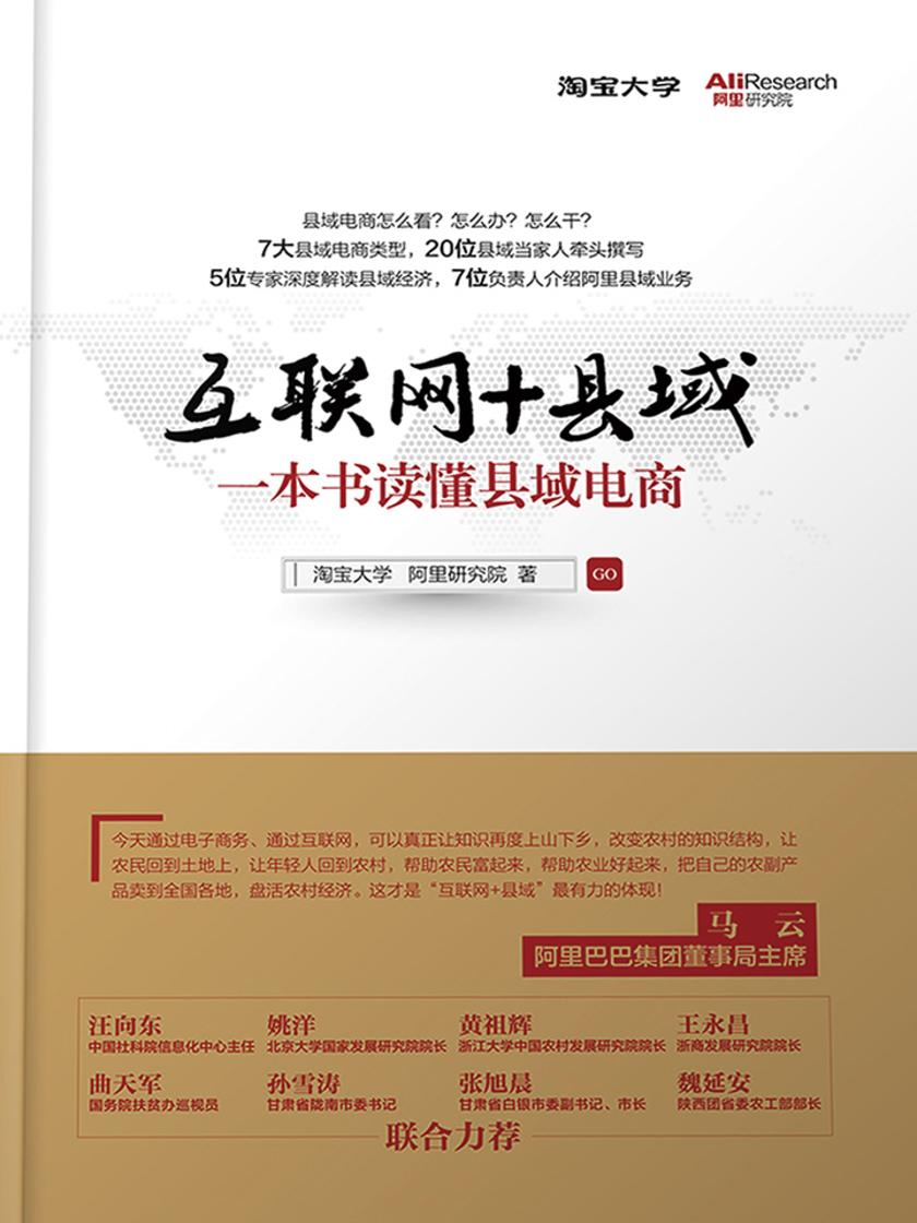 互联网+县域：一本书读懂县域电商