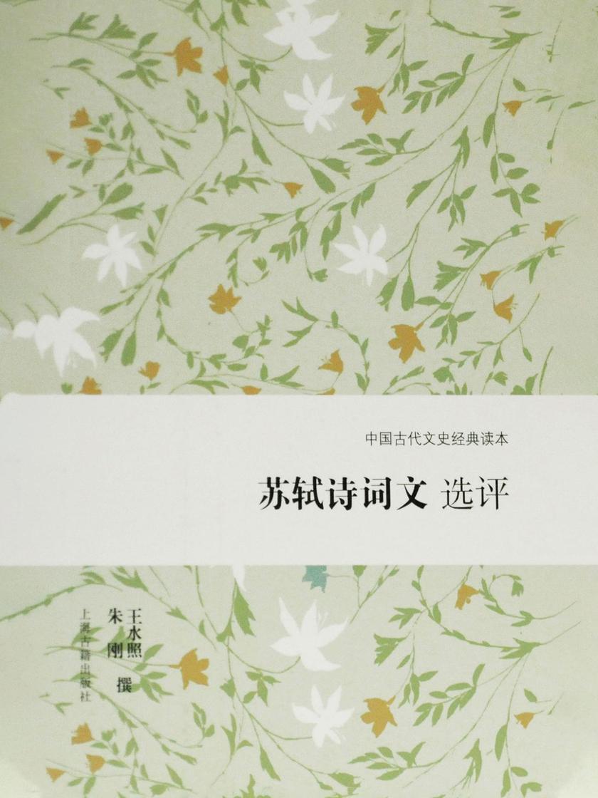 苏轼诗词文选评